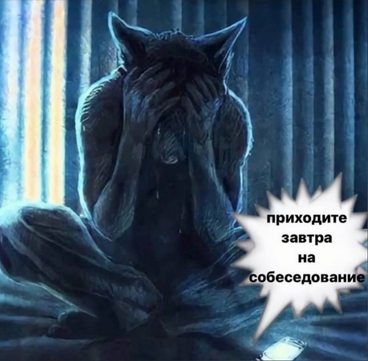 приходите завтра на обеседован