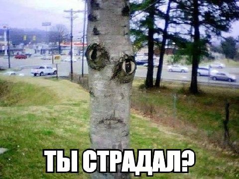 ТЫ