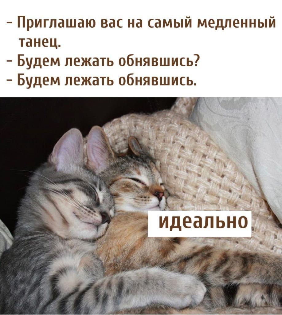 Приглашаю вас Самыи медленныи танец Будем лежать обнявшись? Будем лежать обнявшись идеально}