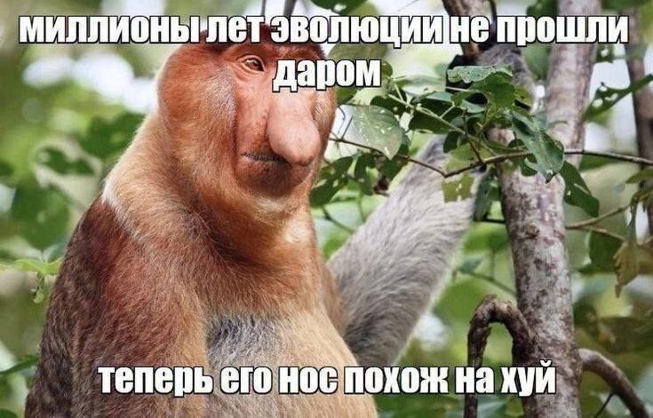не прошли даром к. теперь его Hoe похож хуй