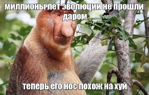 не прошли даром к. теперь его Hoe похож хуй