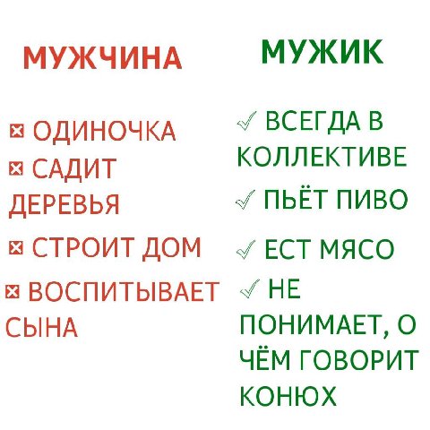МУЖЧИНА МУЖИК ОДИНОЧКА ВСЕГДА В КОЛЛЕКТИВЕ САДИТ ДЕРЕВЬЯ ПЬЁТ ПИВО СТРОИТ ДОМ МЯСО 3 ВОСПИТЫВАЕТ НЕ СЫНА ПОНИМАЕТ, О ЧЁМ ГОВОРИТ КОНЮХ