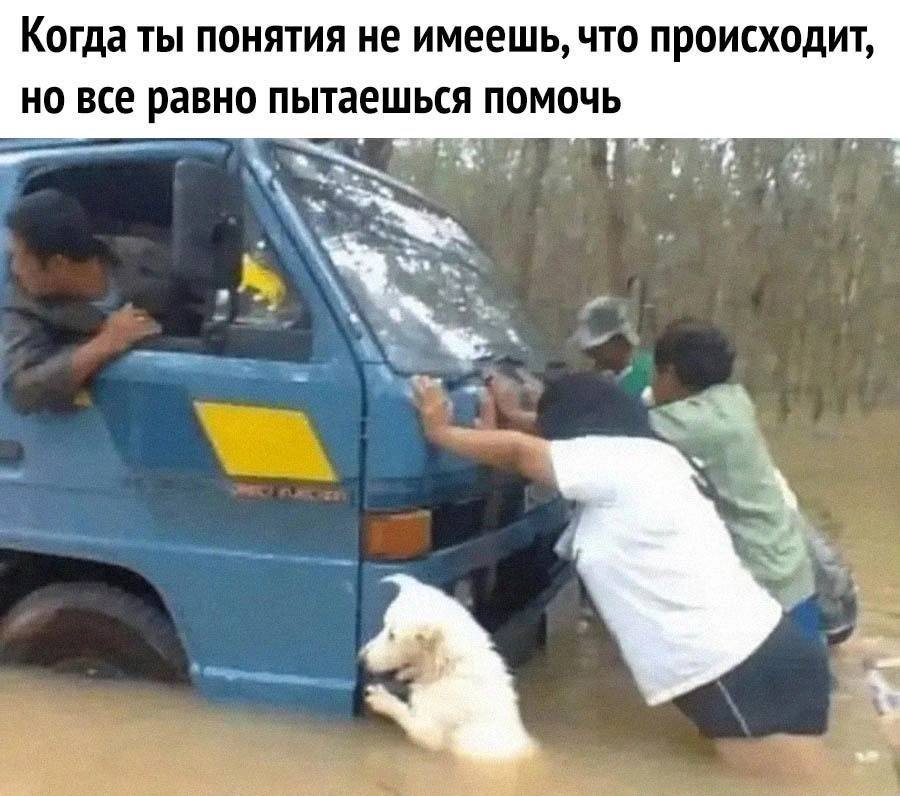 Когда ты понятия не имеешь, что происходит, но все равно пытаешься помочь