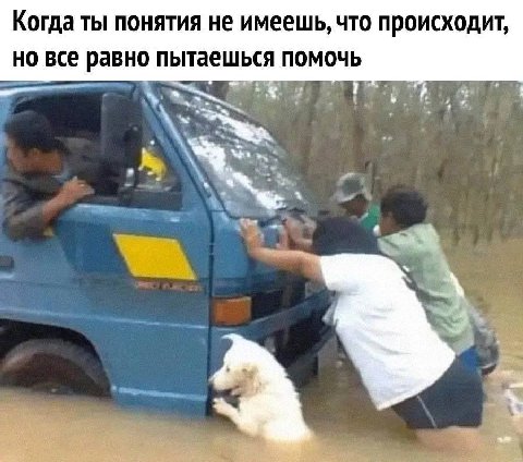Когда ты понятия не имеешь, что происходит, но все равно пытаешься помочь