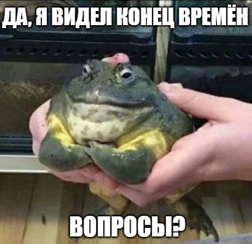 ДА, Я ВИДЕЛ КОНЕЦ ВРЕМЁН ВОПРОСЫ?