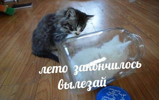 a We 2 8 a в 9 у у 4 any