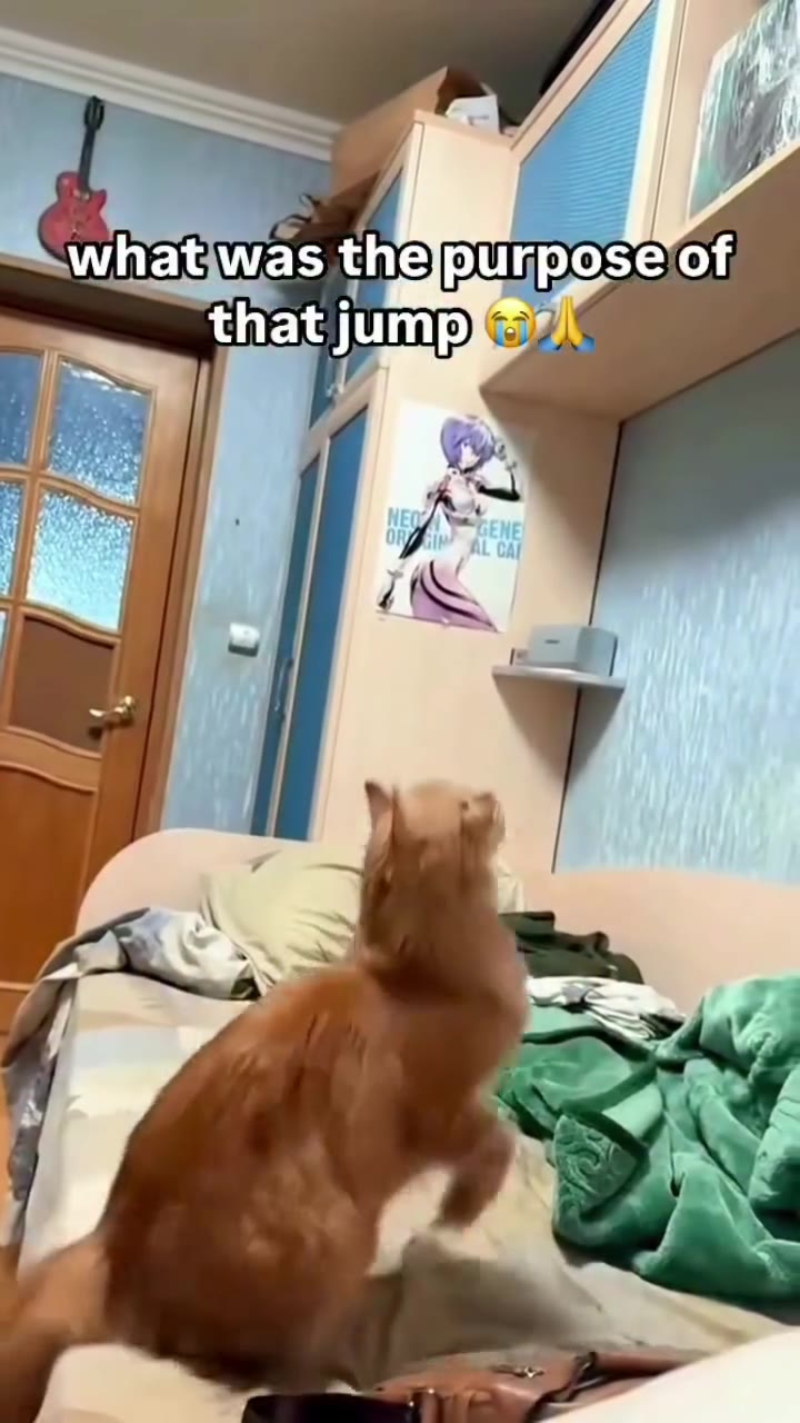 _Оревоей {периугрозе`о! Е{Пабитре и Sawhat Was the)purpose of _ wit as <Перигрозе!о