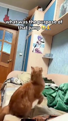 _Оревоей {периугрозе`о! Е{Пабитре и Sawhat Was the)purpose of _ wit as <Перигрозе!о