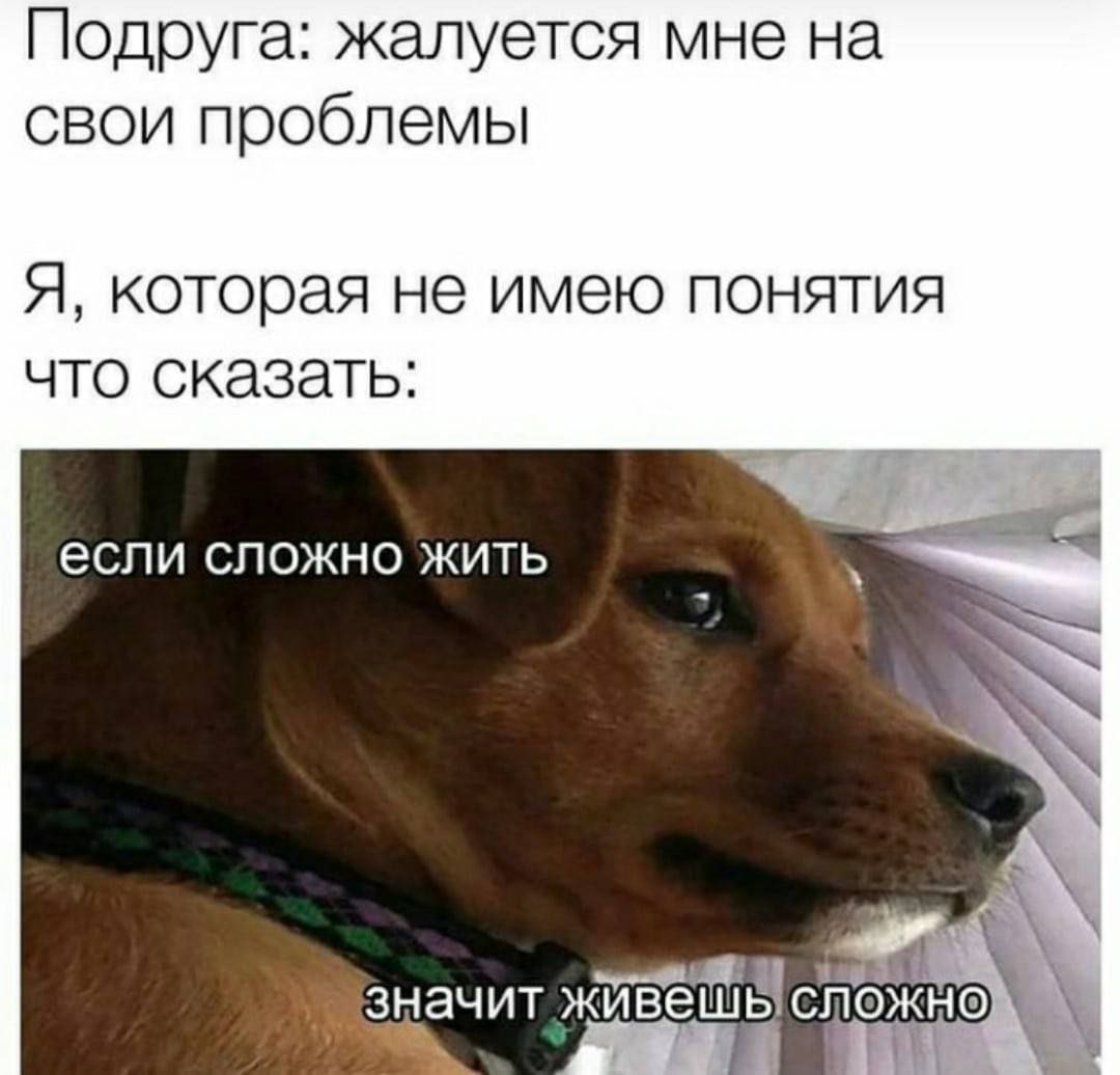 Подруга: жалуется мне на свои проблемы Я, которая не имею понятия что сказать: если сложно жить А: 4 значит 1
