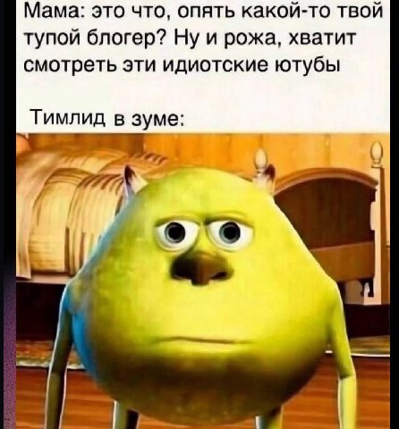 Мама: это что, опять какой-то твой тупой блогер? Ну и рожа, хватит смотреть эти идиотские ютубы Тимлид в зуме: