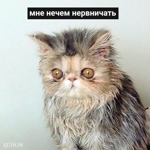 мне нечем нервничать WAS SSN
