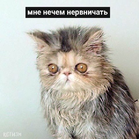 мне нечем нервничать WAS SSN