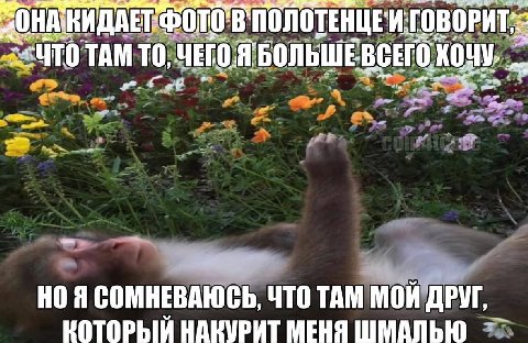 TAM TO, ЧЕГО Я БОЛЬШЕВСЕГО ХОЧУ. НОЯ СОМНЕВАЮСЬ, ЧТО ТАМ МОЙ ДРУГ НАКУРИТ МЕНЯ ШМАЛЬЮ