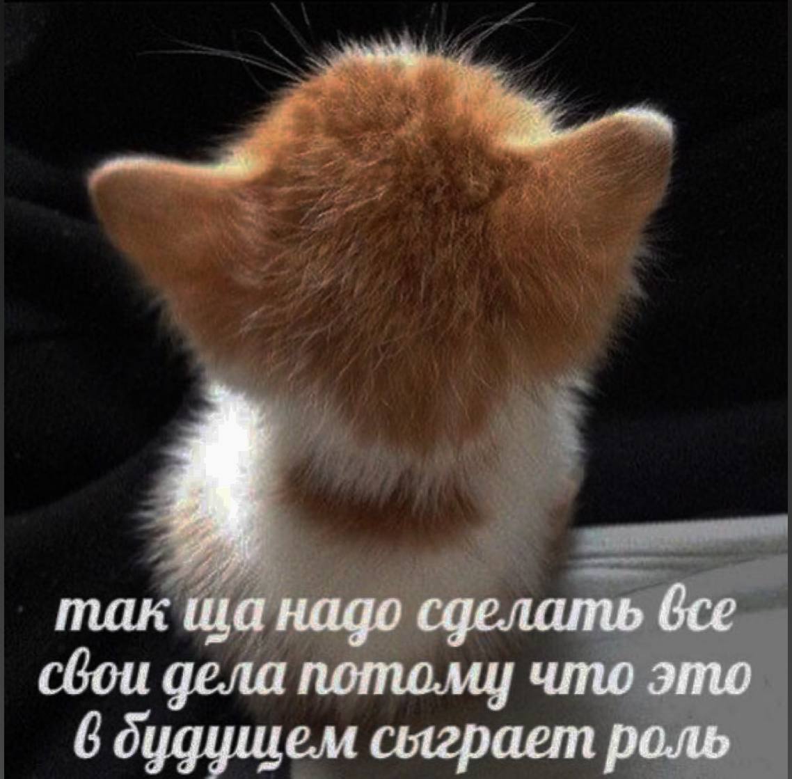 mak надо сделать все сбои дела потому что это 6 будущем сыграет роль