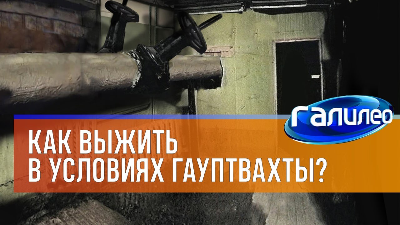 72 a: алилео: КАК ВЫЖИТЬ В УСЛОВИЯХ ГАУПТВАХТЫ?