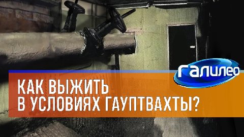 72 a: алилео: КАК ВЫЖИТЬ В УСЛОВИЯХ ГАУПТВАХТЫ?