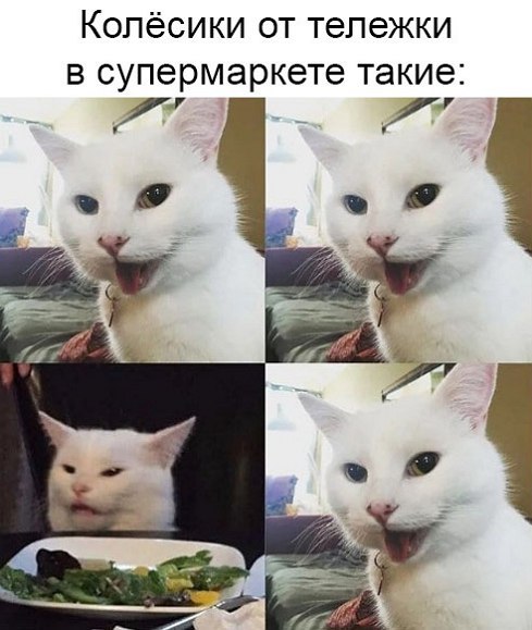 Колёсики от тележки в супермаркете такие