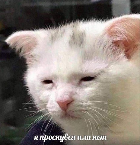 я проснувся или нет