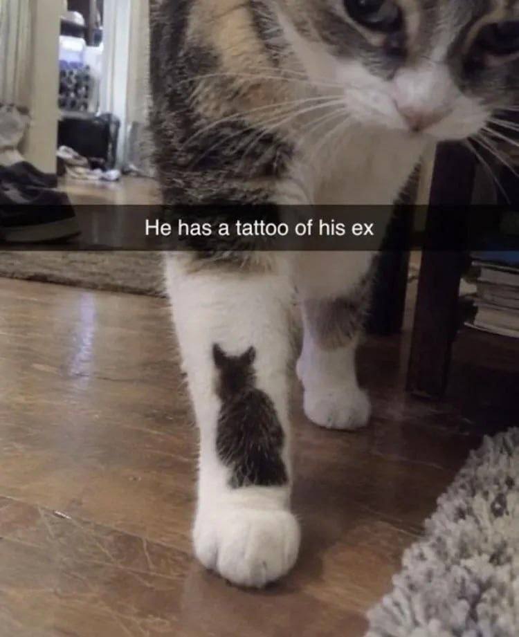 Не has tattoo of his