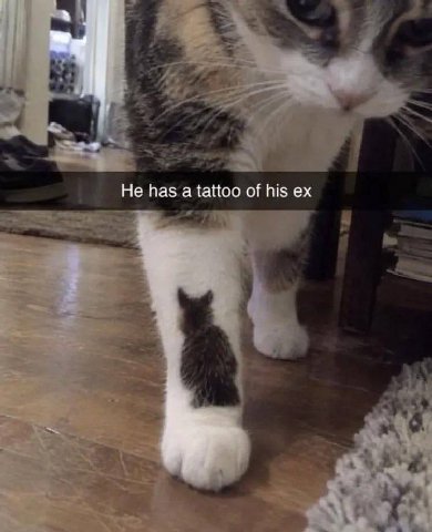 Не has tattoo of his