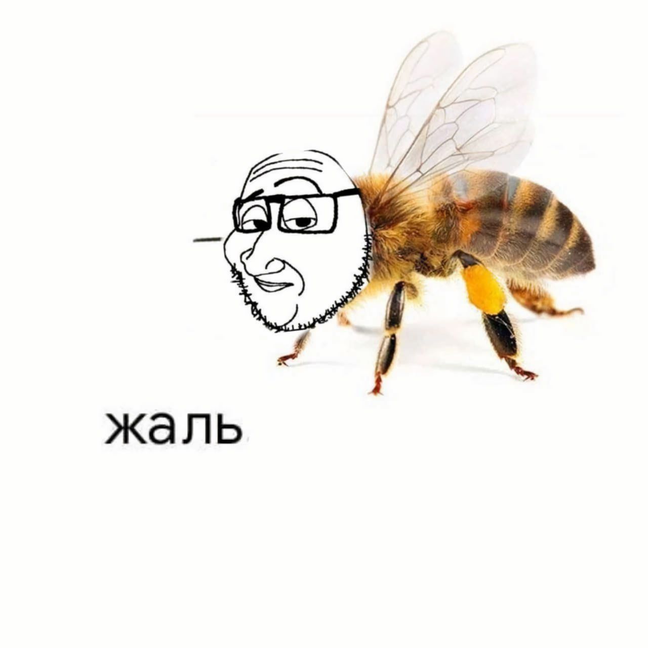 жаль