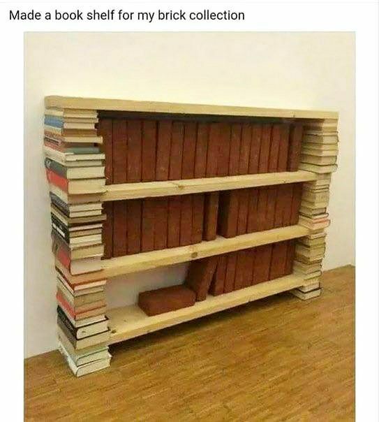 Made a book shelf for my brick collection