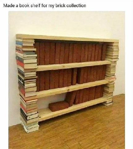 Made a book shelf for my brick collection