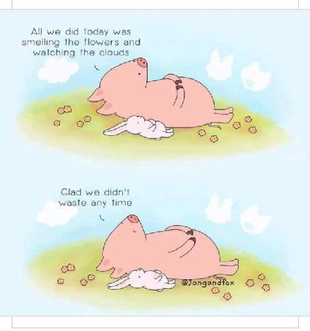 All we did today was smelling the flowers and watching the clouds Glad we didn’t waste any time
