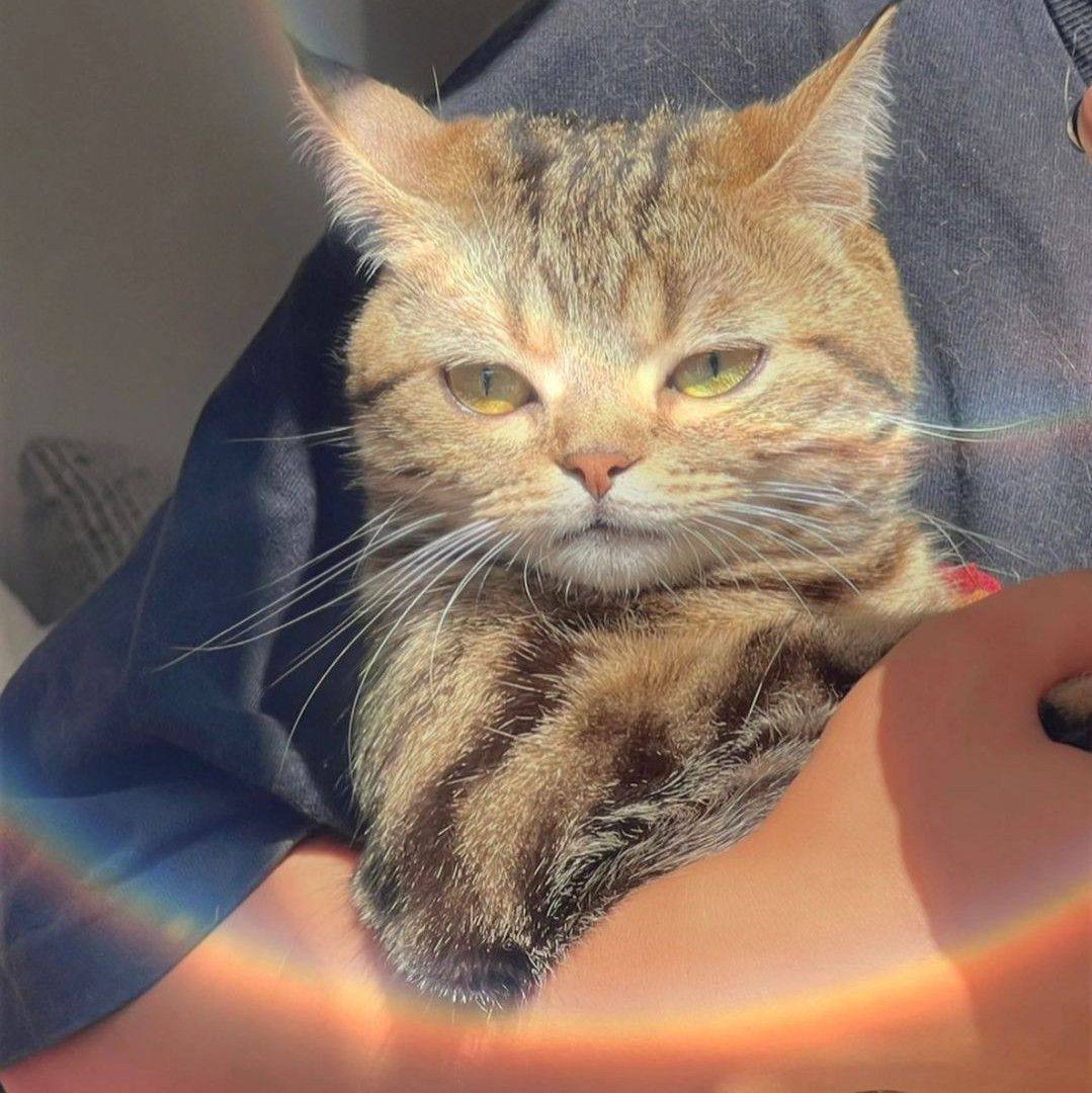 4 у, 4 4 Я we и: as 4 а: