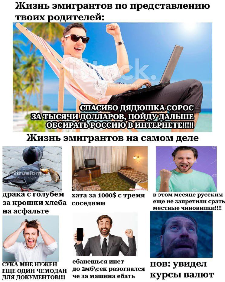 Жизнь эмигрантов по представлению твоих одителей: Rin. СПАСИБО ПОИДУ/ДАЛЬШЕ ОБСИРАТЬ РОССИЮ ИНТЕРНЕТЕ!!! Жизнь эмигр антов i права голубем 1000$ с в этом месяце русским 3a хлеба соседями еще не запрет