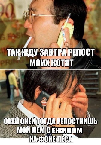 ЗАВТРА РЕПОСТ МОИХ ОКЕЙ РЕПОСТНИШЬ МОЙ НАФОНЕЛЕСА