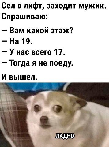 Сел в лифт, заходит мужик Спрашиваю: Вам какой этаж? На 19. Унас всего 17. Тогда я не поеду. И вышел. ЛАДНО