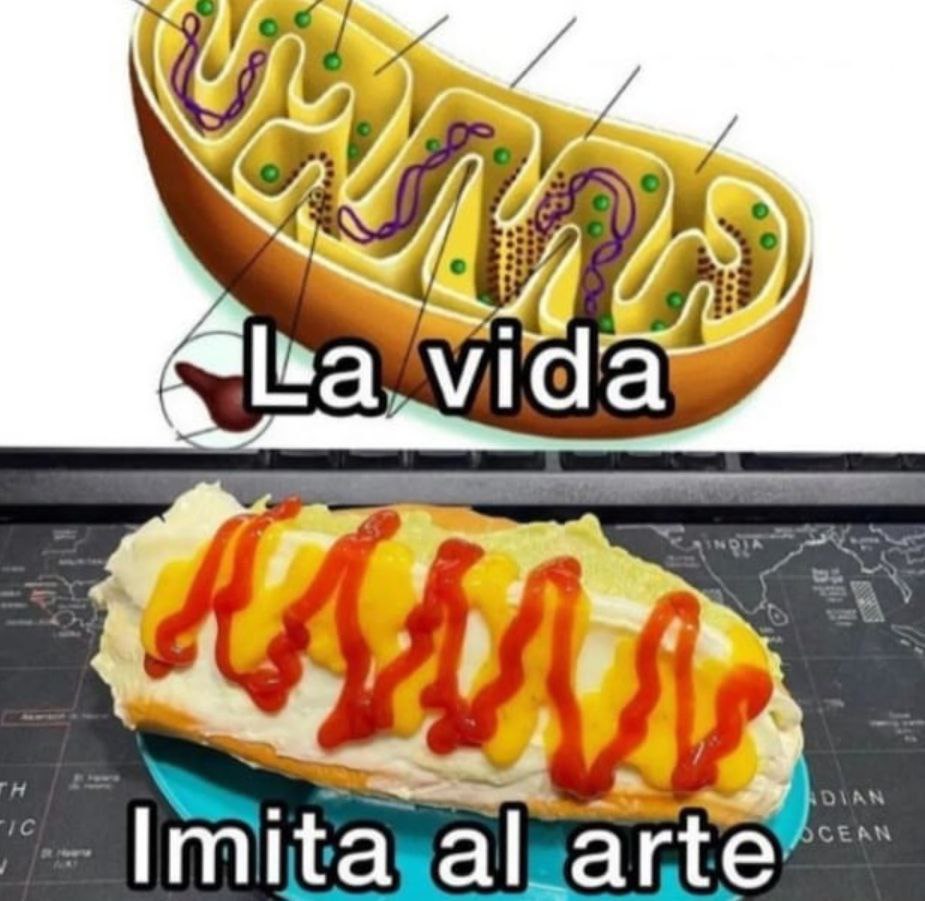 vil hat