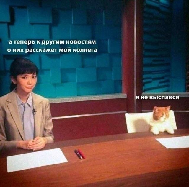 а теперь к другим новостям о них расскажет мой коллега я не выспався