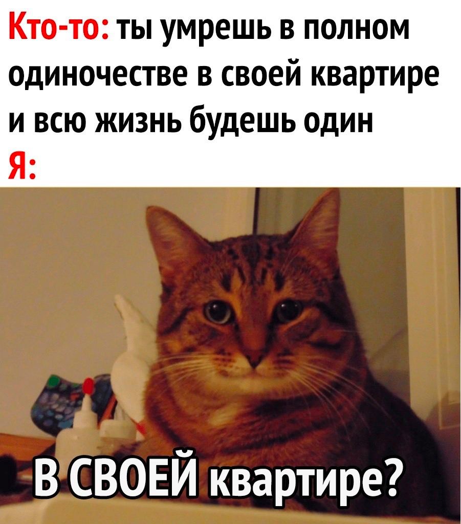 Кто-то: ты умрешь в полном одиночестве в своей квартире И Я жизнь будешь один -В СВОЕЙ квартире?