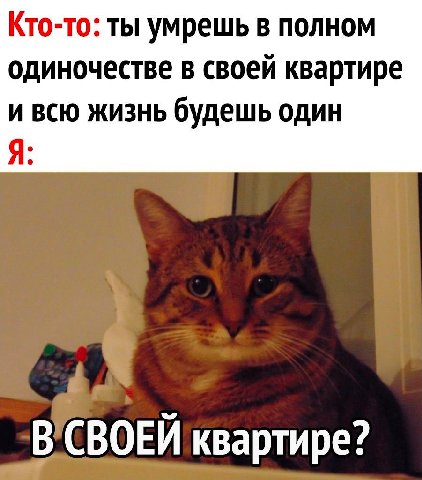Кто-то: ты умрешь в полном одиночестве в своей квартире И Я жизнь будешь один -В СВОЕЙ квартире?