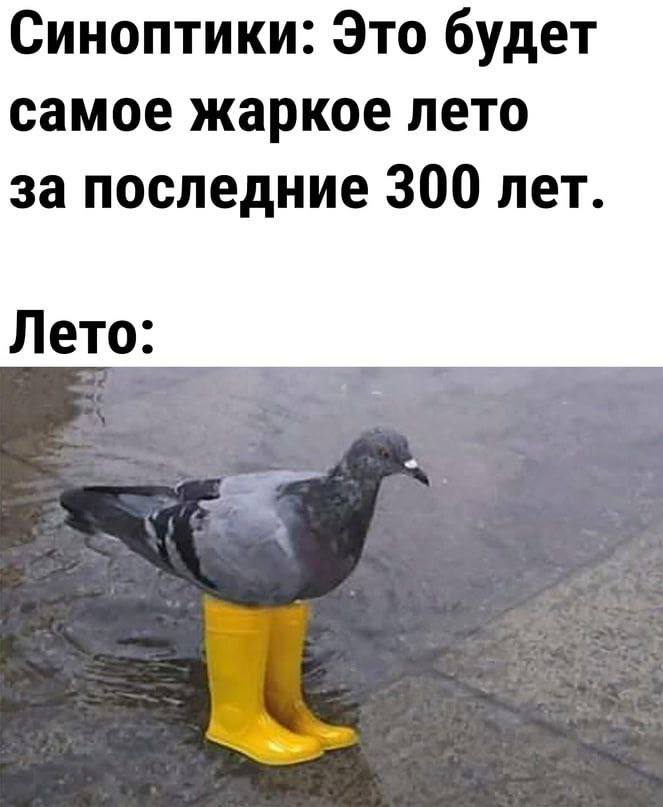 Синоптики: Это будет самое жаркое лето за последние 300 лет. Лето:
