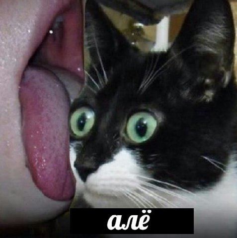 алё
