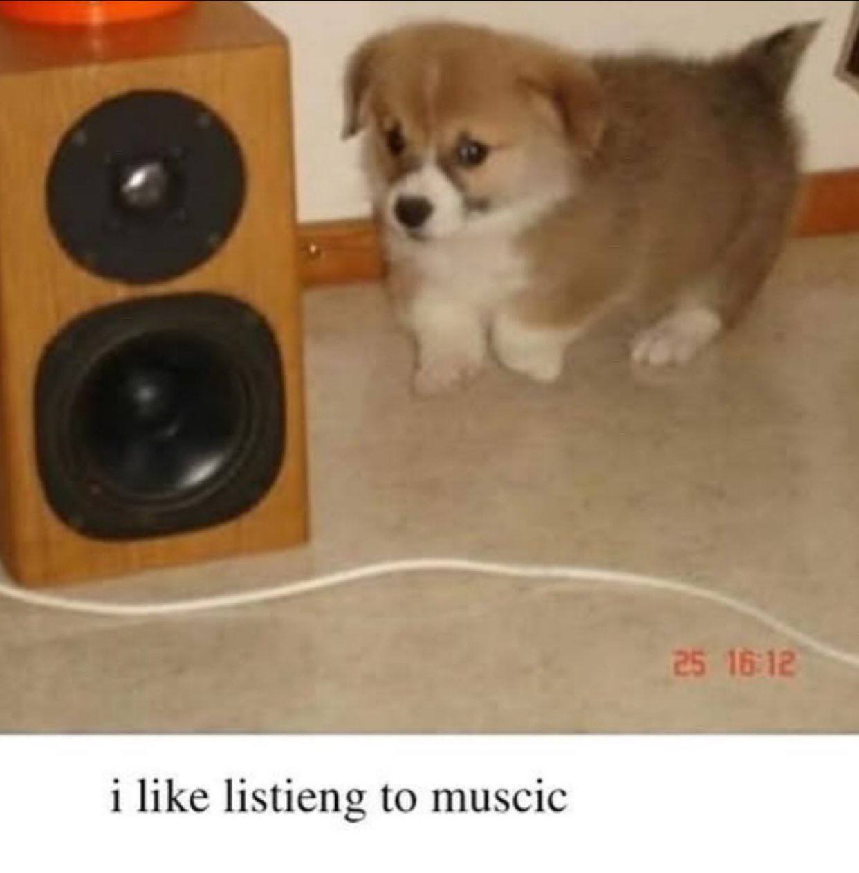 i like listieng to muscic