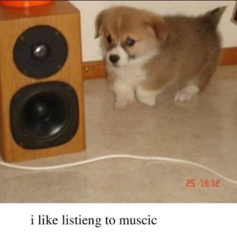 i like listieng to muscic