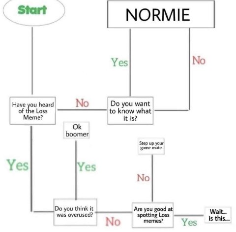Start Yes No Have you heard No you want of the Loss Meme? to know what it is? boomer Step up your game mate. Yes Yes No you think it was overused? Are you good at Wait... spotting Loss memes? is о Yes
