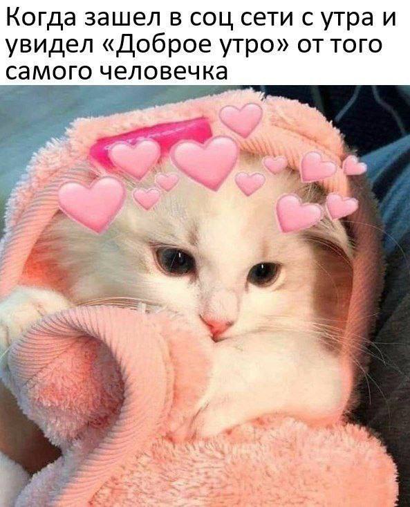 Когда зашел в соц сети с утра и увидел «Доброе утро» оттого самого человечка “3
