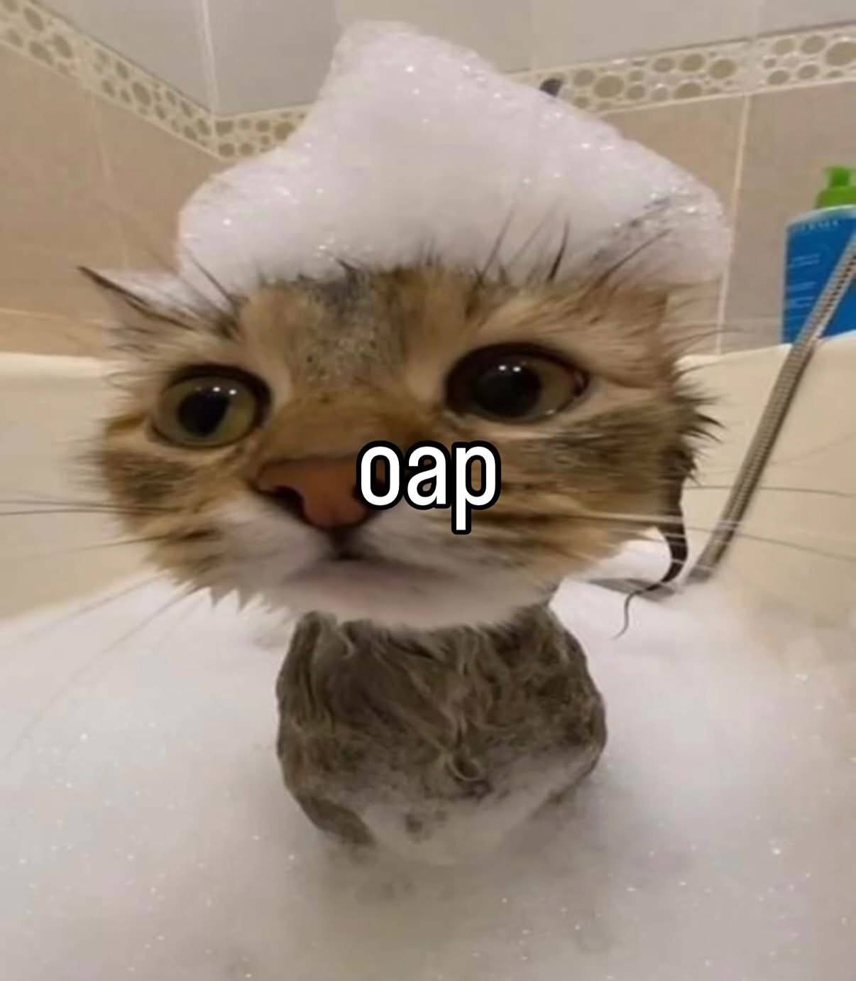 oap