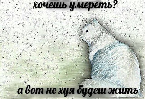 2 5 5 3 <a 2. у i AS Ths с 25 2 Я В 4 Я 3 a A а 9 4