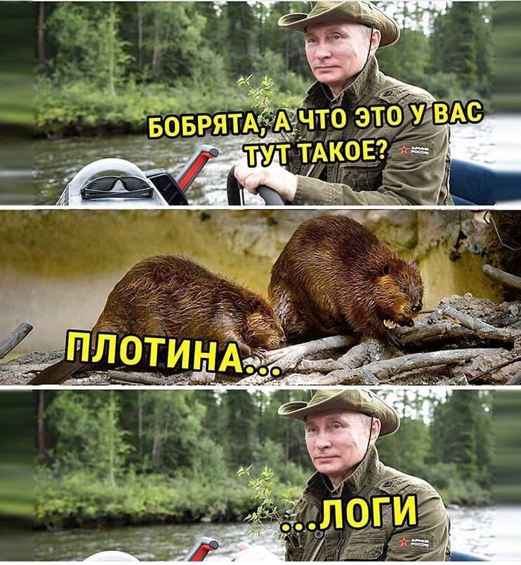 a ВАС БОБРЯТ что ЭТО У- ТАКОЕ We a ele ПЛОТИНА 4. a ЛОГИ.