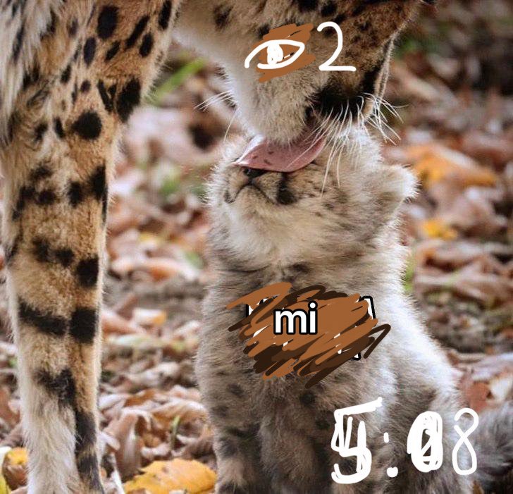 4 6
