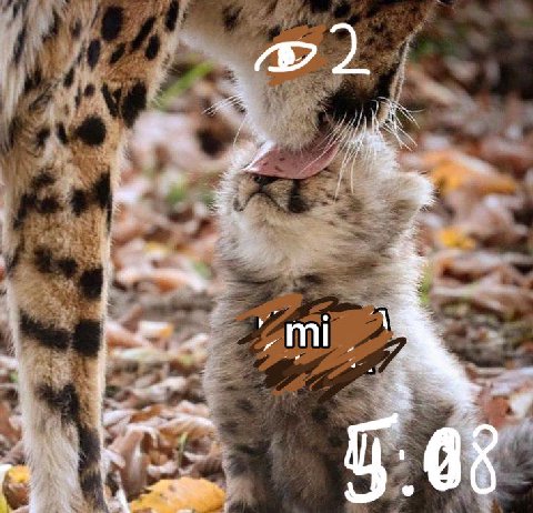 4 6