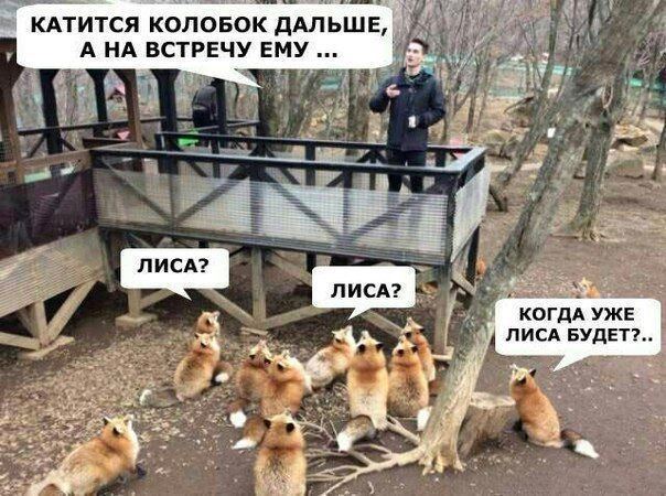 КАТИТСЯ КОЛОБОК ДАЛЬШЕ, А НА ВСТРЕЧУ ЕМУ 7 ЧЕ a КОГДА УЖЕ ЛИСА БУДЕТ?.. As.