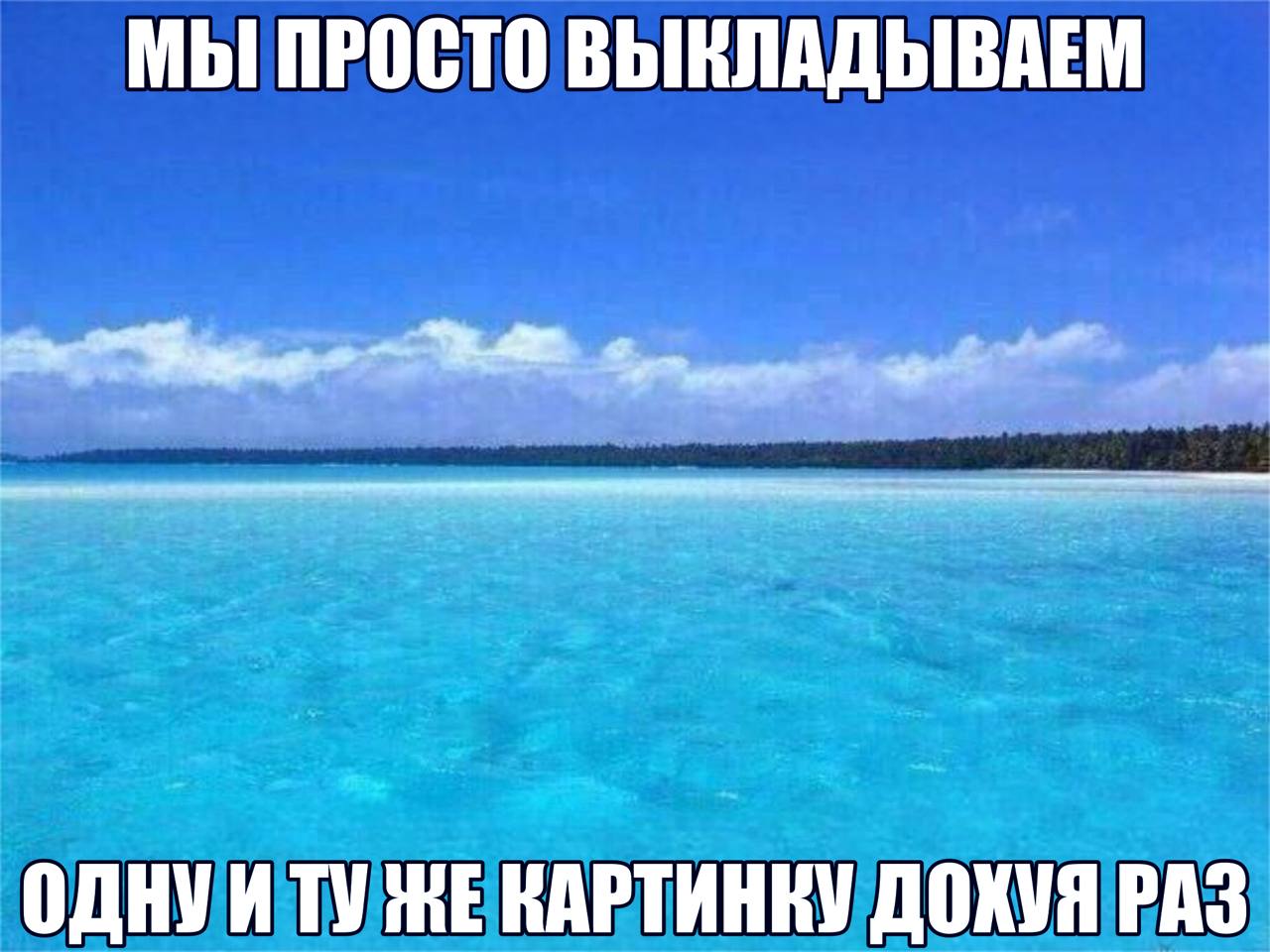 МЫ ПРОСТО ВЫКЛАДЫВАЕМ ОДНУИТУ ЖЕ КАРТИНКУ ДОХУЯ РАЗ