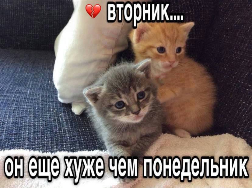 Чем понедельник